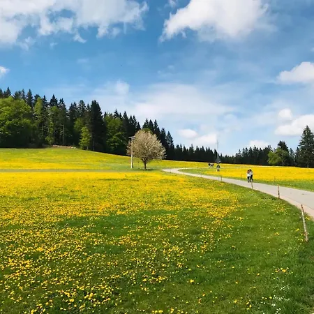 Himmelblau Apartmán Schönwalde
